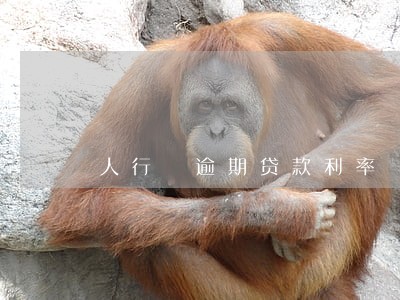 人行 逾期贷款利率 人行 逾期贷款利率